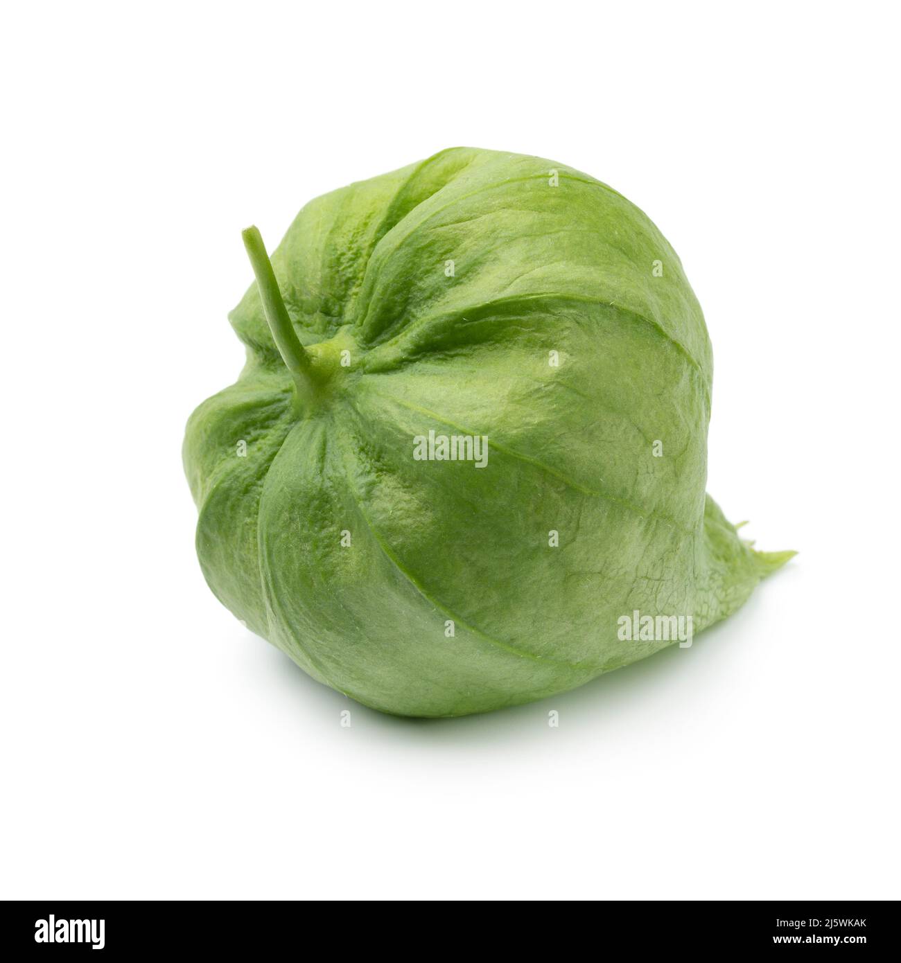Single fresh green tomatillo in a husk isolated on white background