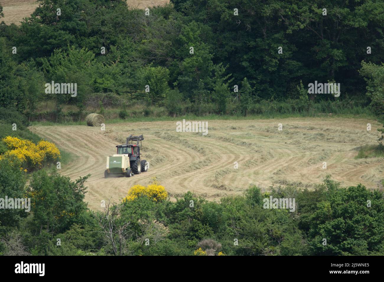 Un tracteur qui fait les foins Stock Photo