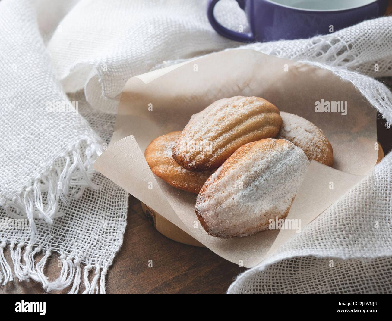 Homemade Madeleine cookies with spongy texture and shelllike shape