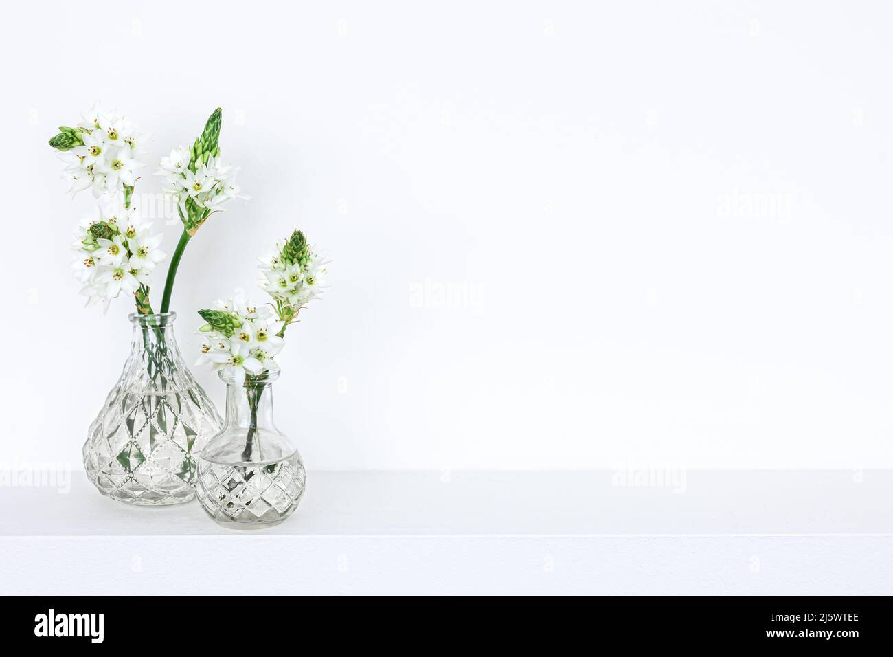 Spring flowers in glass vases isolated on white background Stock Photo ...