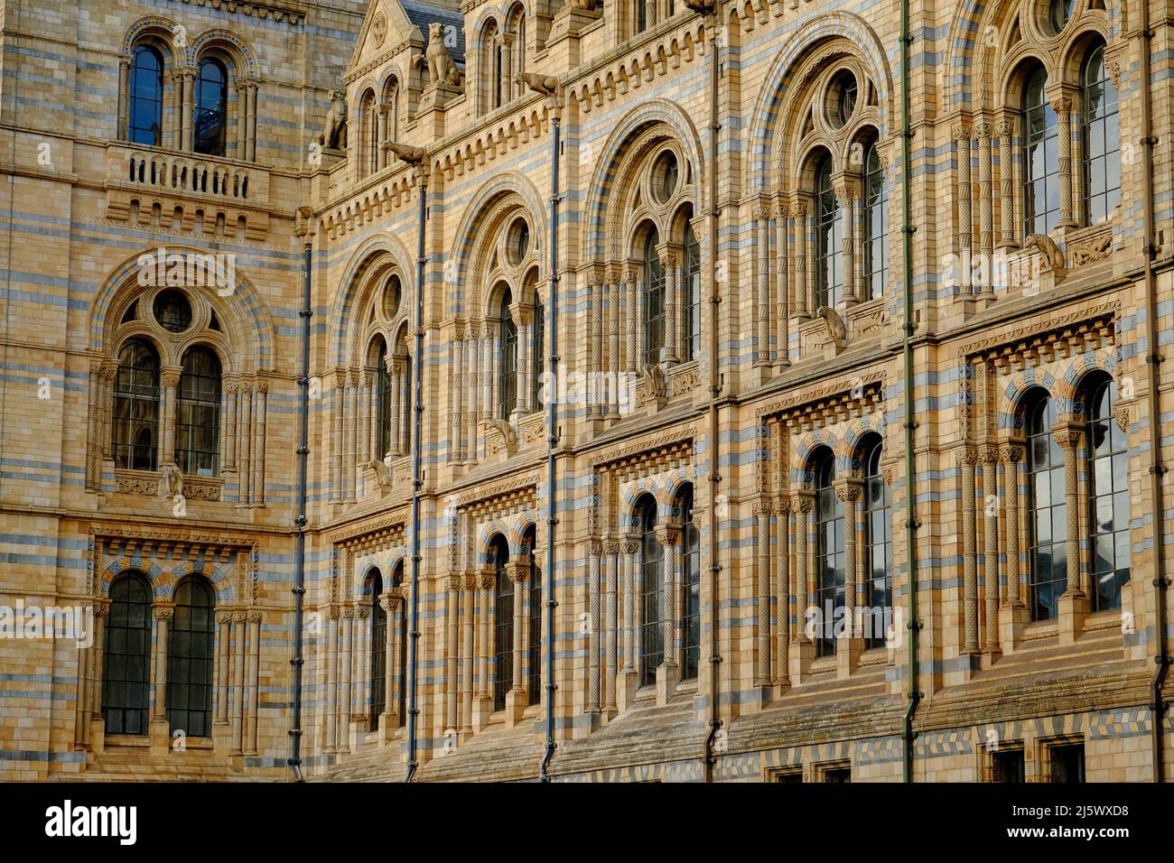 Exterior Detail of the Natural History Museum, London Stock Photo