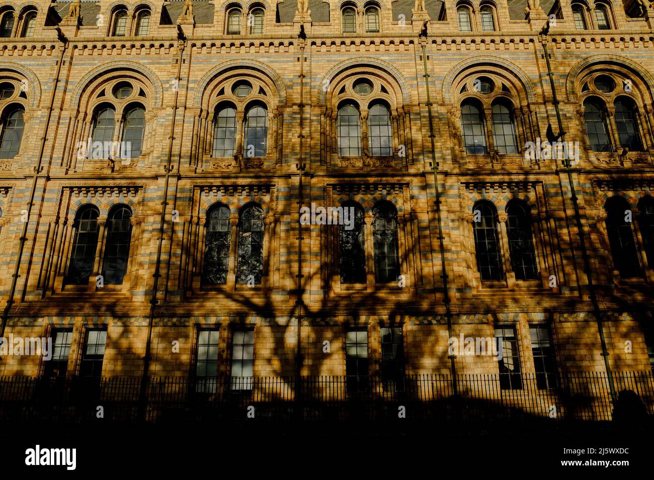 Exterior Detail of the Natural History Museum, London Stock Photo