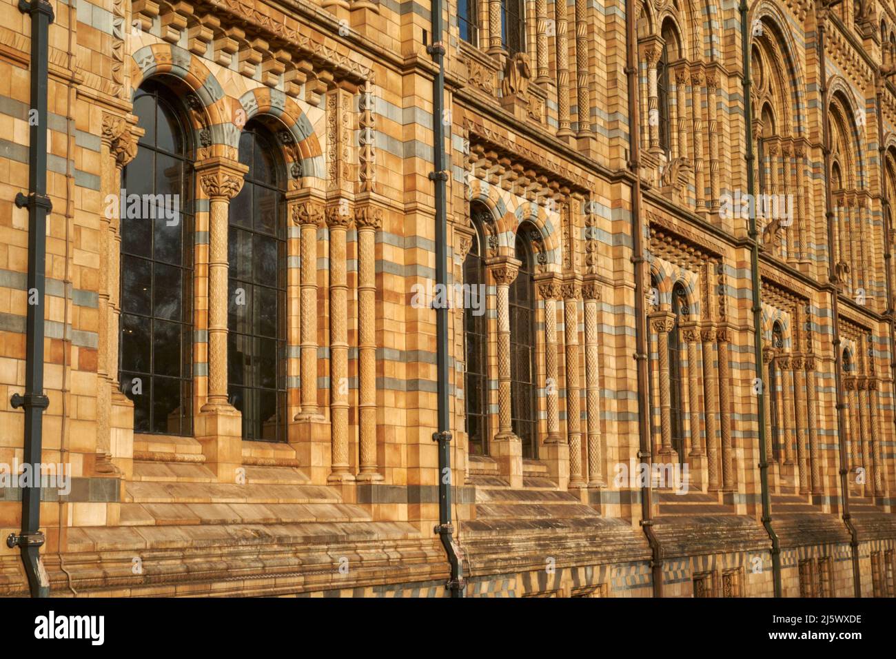 Exterior Detail of the Natural History Museum, London Stock Photo