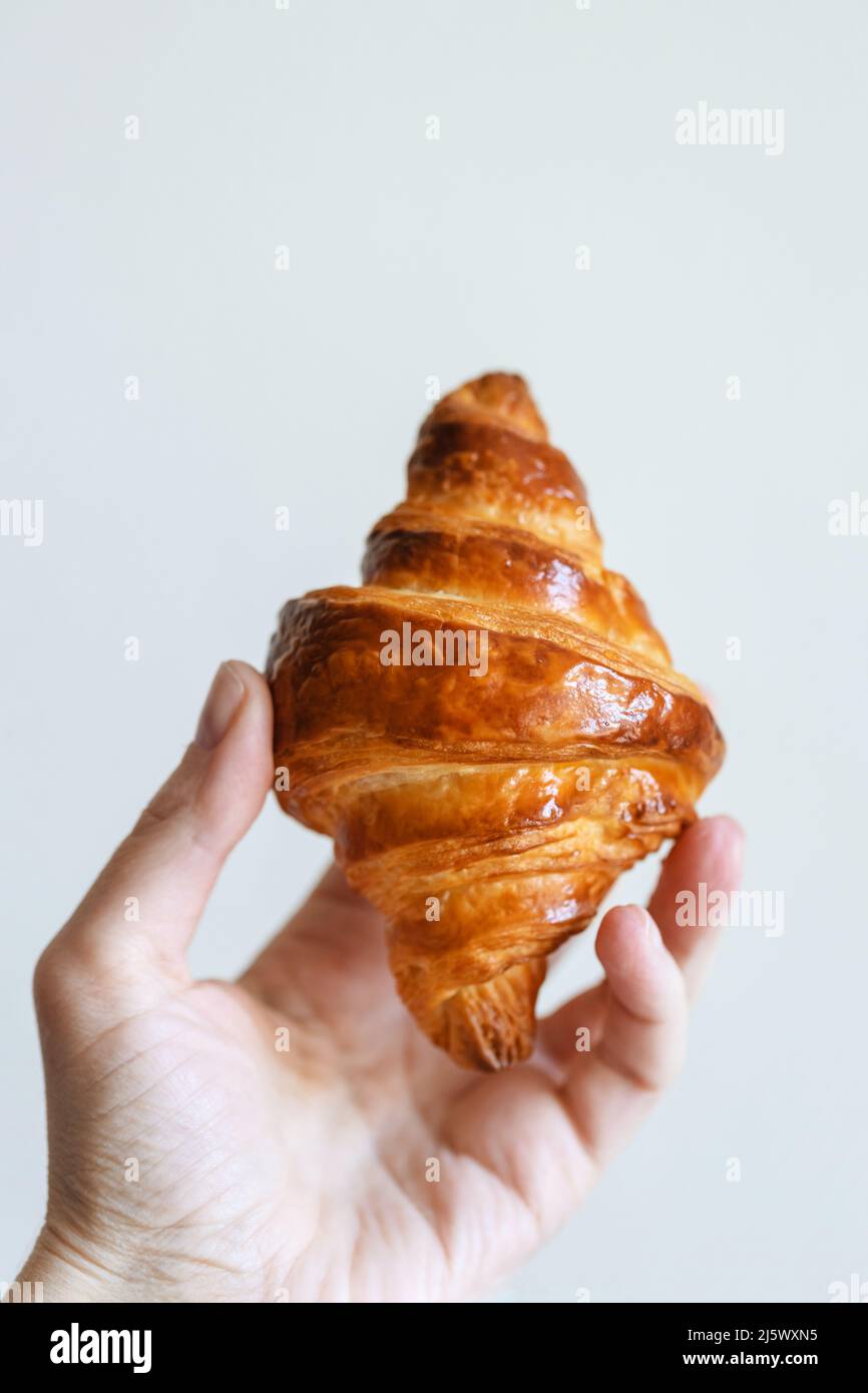 Woman hand holding homemade croissant. Stock Photo