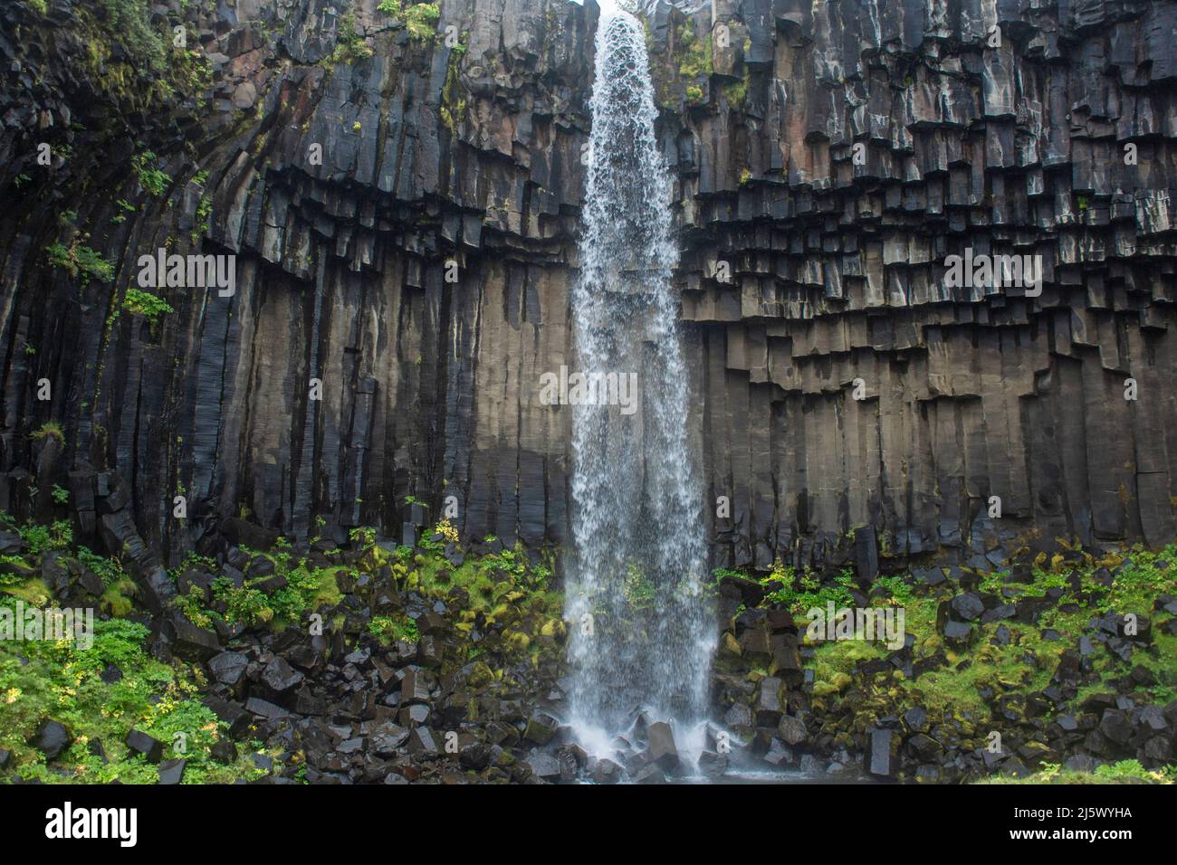 Svartifoss waterfall, Iceland Stock Photo