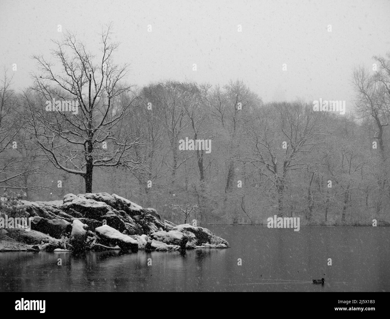 Central Park in Snow at Christmas time after a winter storm. New York ...