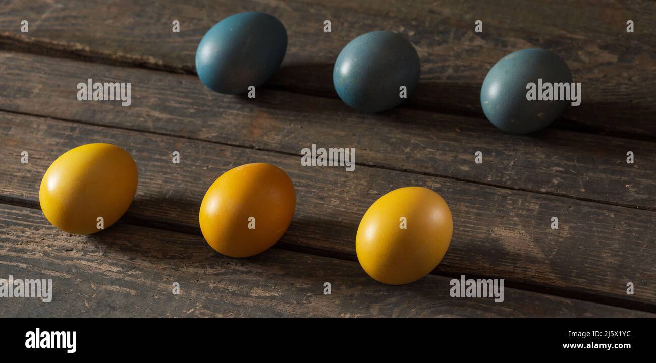Painted eggs for Easter in the colors of the flag of Ukraine. Yellow ...