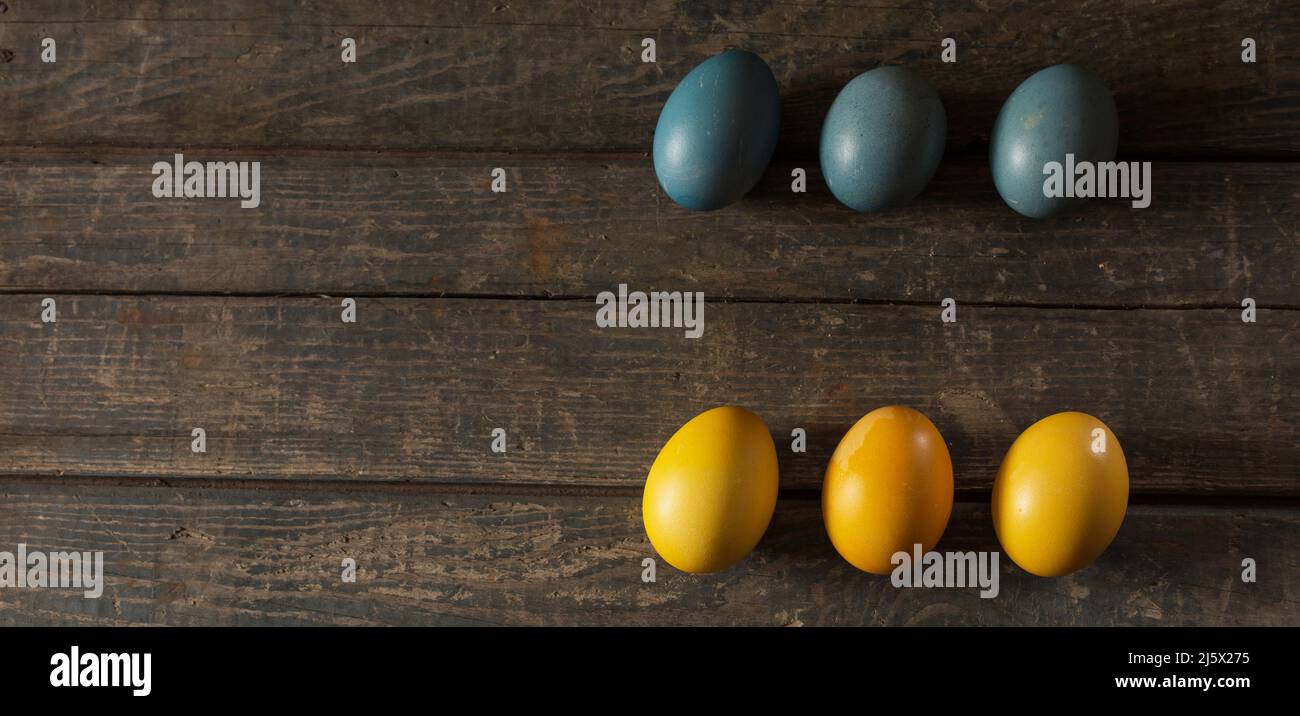 Painted eggs for Easter in the colors of the flag of Ukraine. Yellow ...