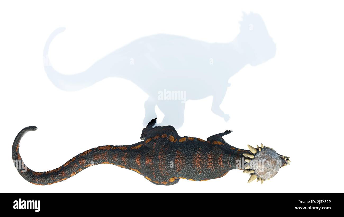 Pachycephalosaurus, dinosaur from the Late Cretaceous period, isolated ...