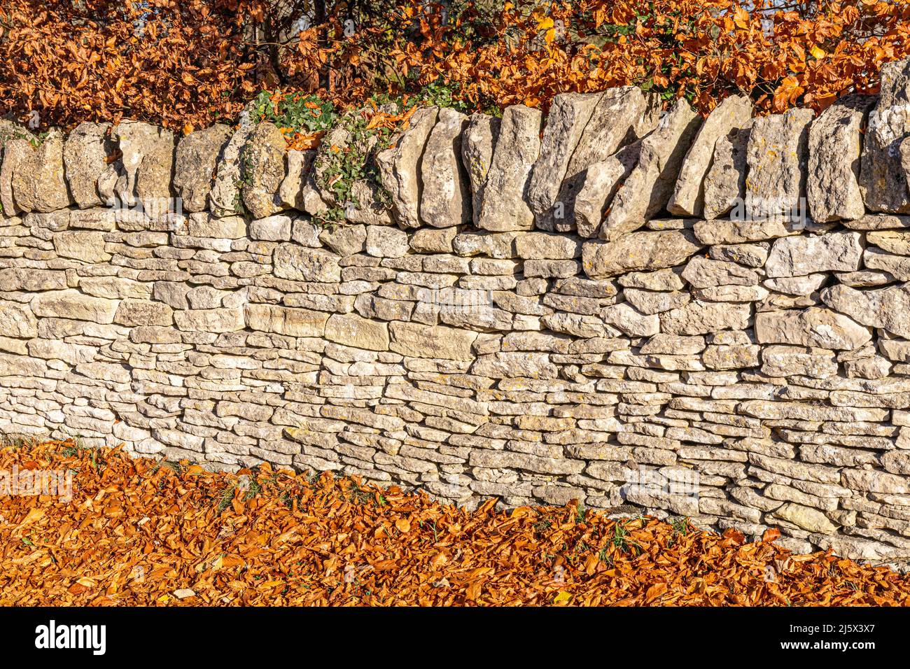 Autumn in the Cotswolds - A dry stone wall and beech leaves near the small town of Minchinhampton, Gloucestershire, England UK Stock Photo