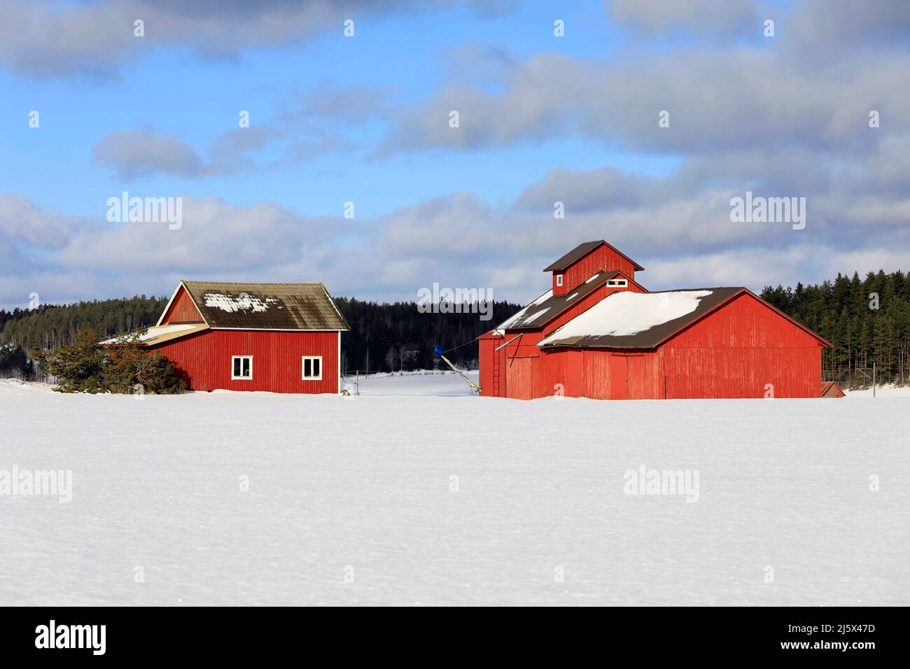 Red, old farm building and wooden grain dryer in field on a clear day of February with snow covered field and blue sky and clouds. Stock Photo