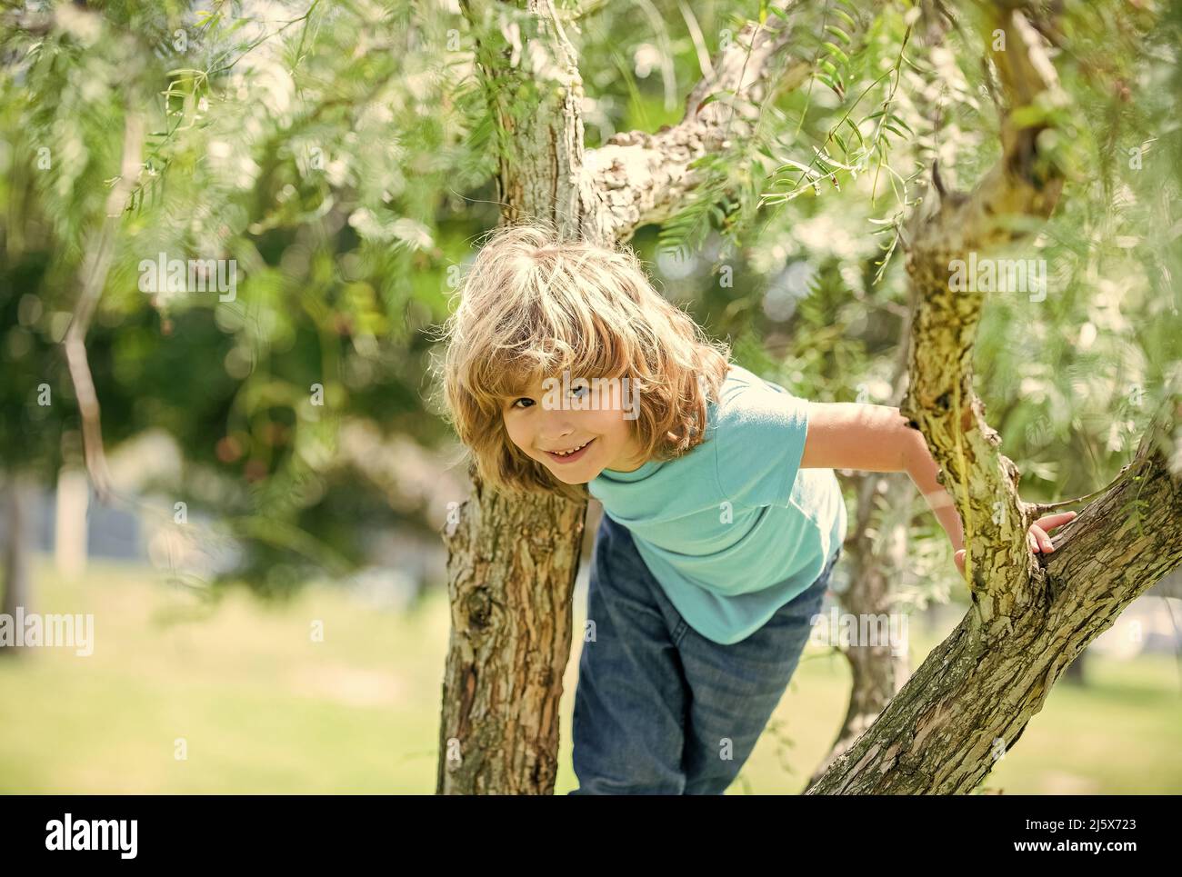 Climbing trees is always fun. Active boy child climb tree. Childhood