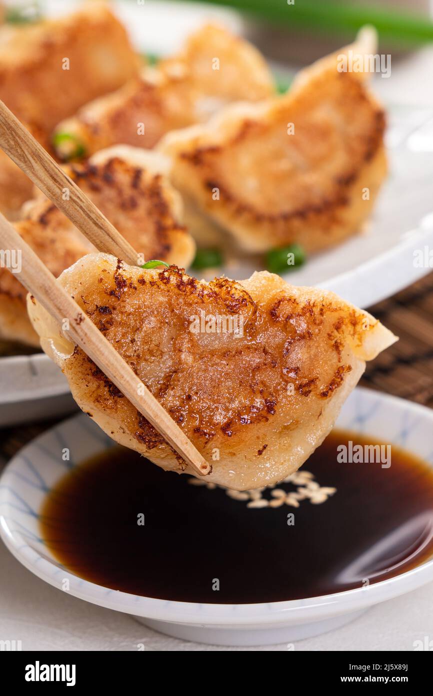 Pan Fried Jiaozi at Patricia Caudle blog