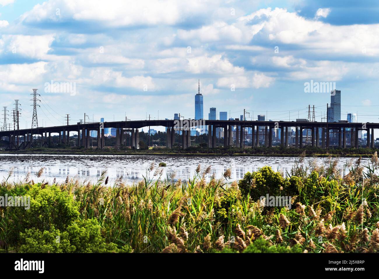 LAND UNDER Swamp and marsh in the meadowlands of East Rutherford, New