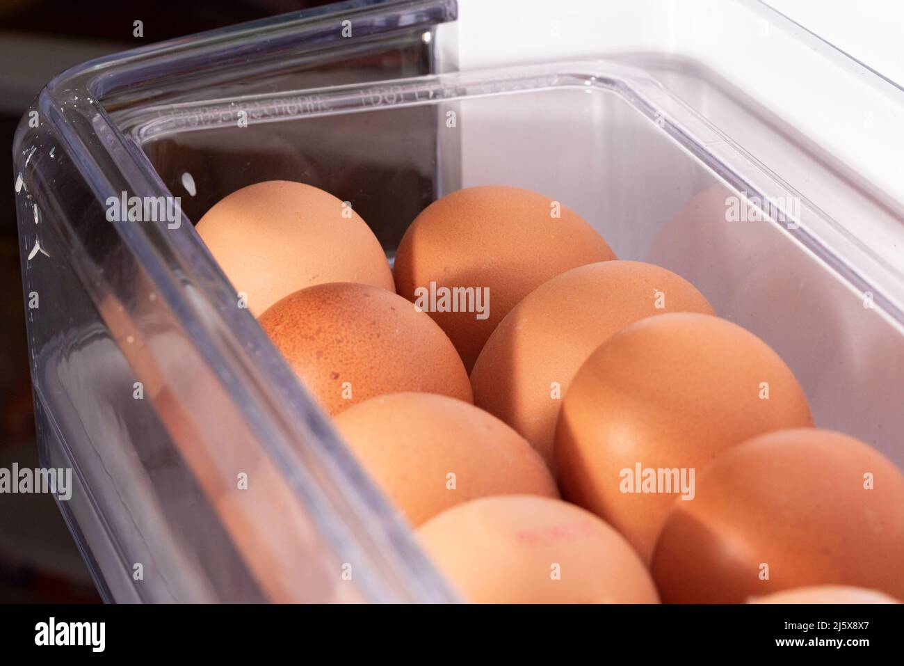 Eggs in the refrigerator arranged in rows. Low temperature storage of