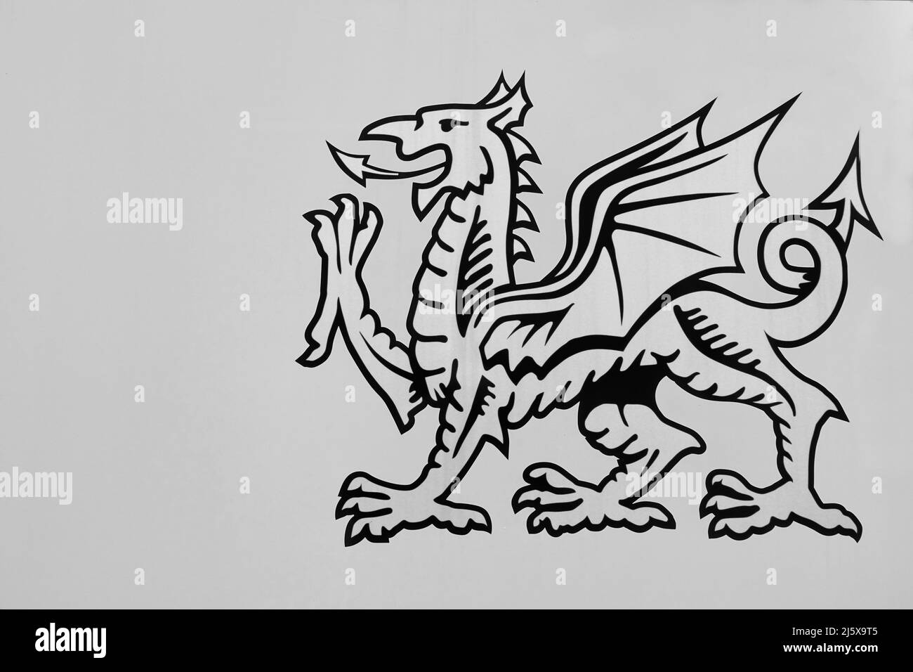 White and black Welsh dragon on a white background Stock Photo