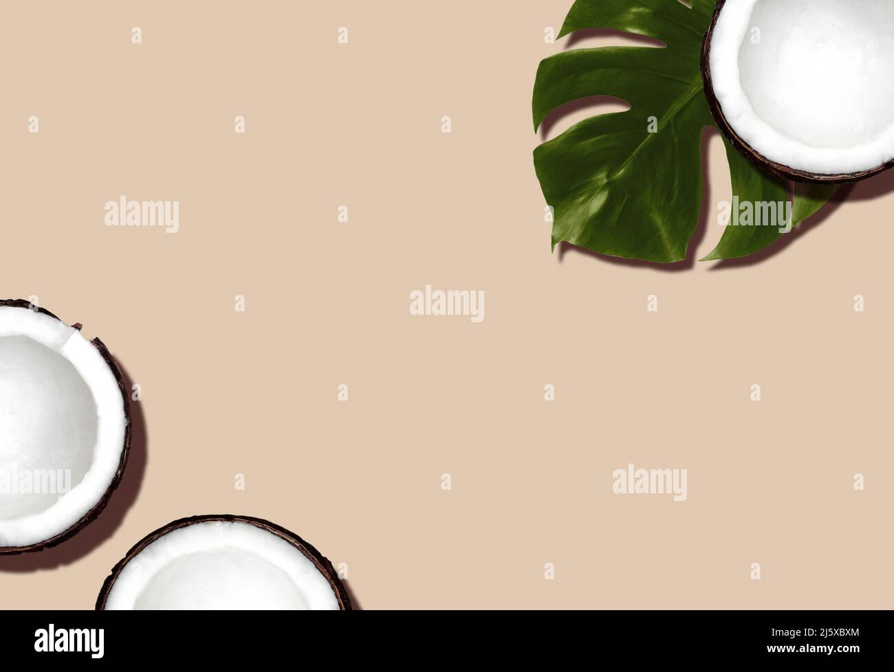 Coconuts and monstera leaf on beige backdrop Stock Photo