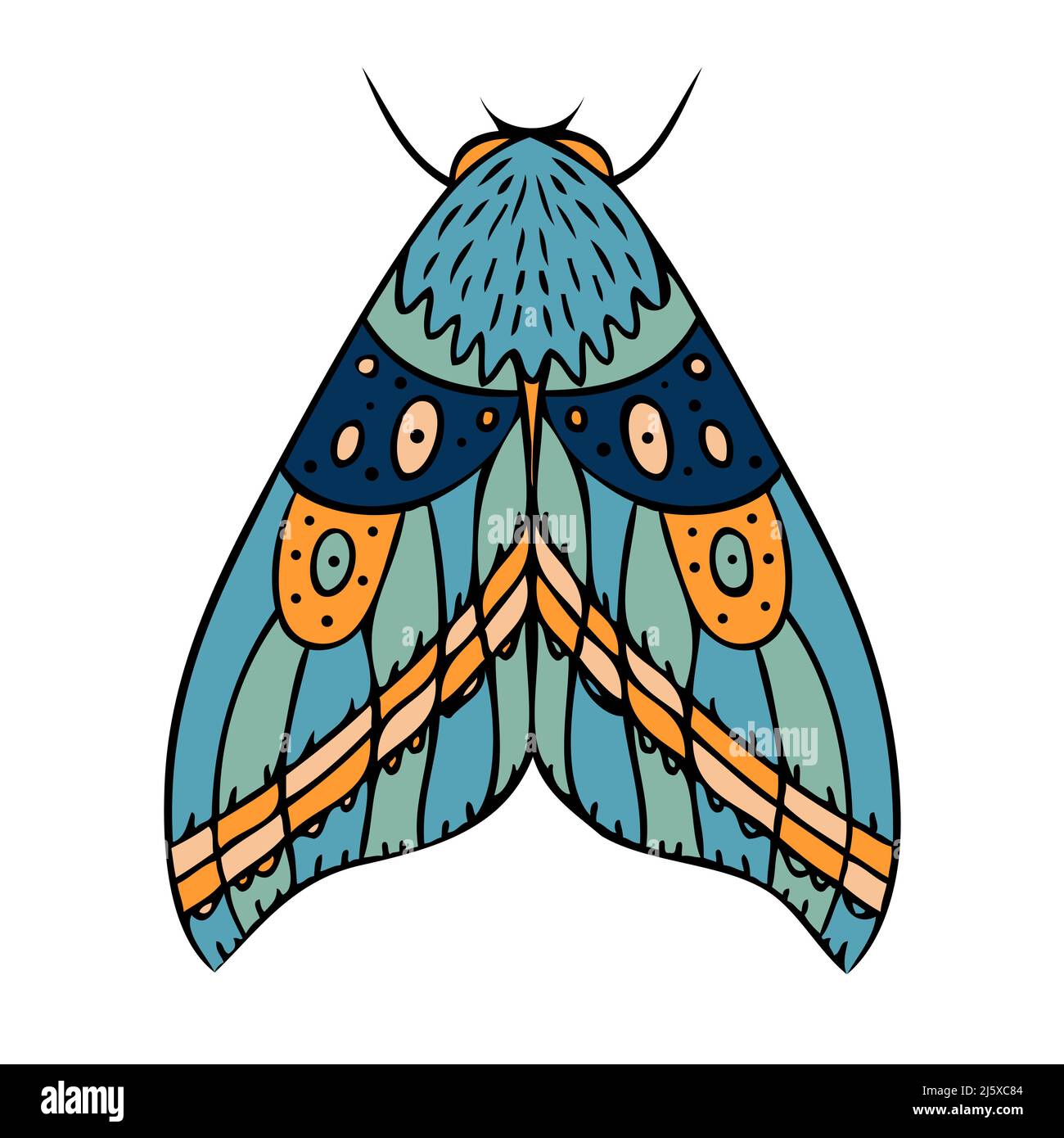 Night butterfly, moth. Hand drawn vector illustration Stock Vector Image & Art Alamy