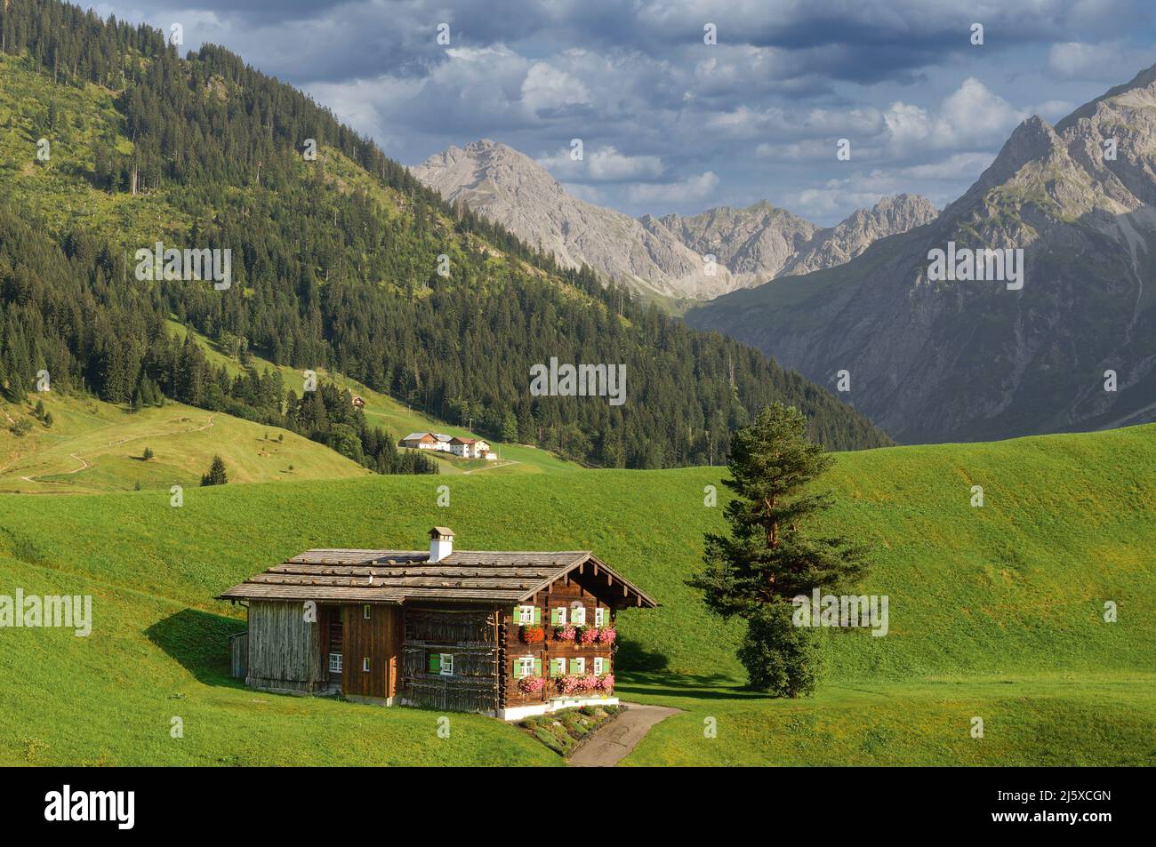 Landscape near Mittelberg and Baad in Kleinwalsertal,Vorarlberg,Austria Stock Photo