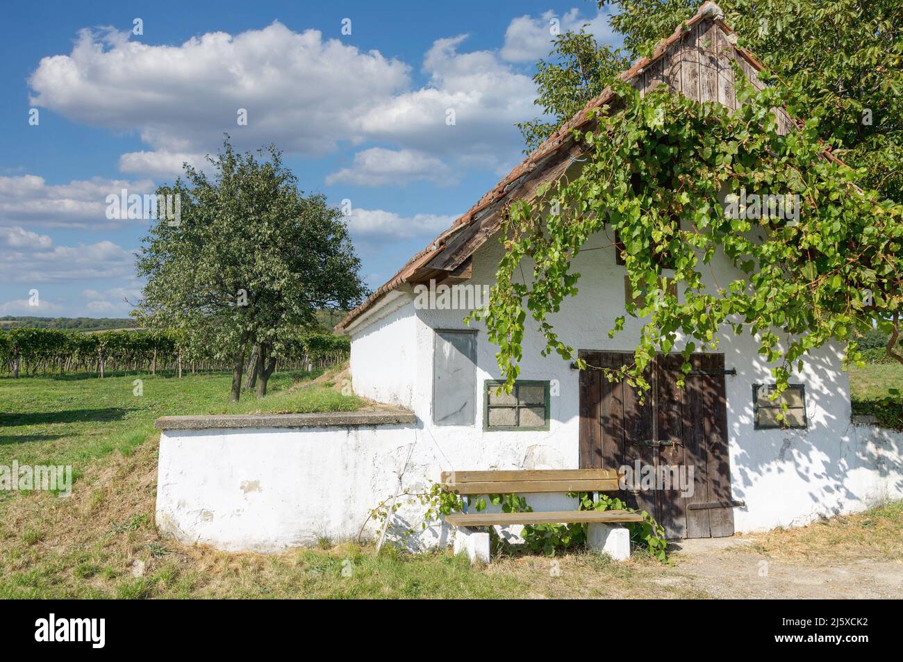 Vineyard Landscape and Wine Cellar,Prellenkirchen,lower Austria Stock Photo