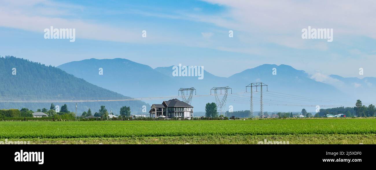High power lines over farmer's field in the Fraser valley Stock Photo