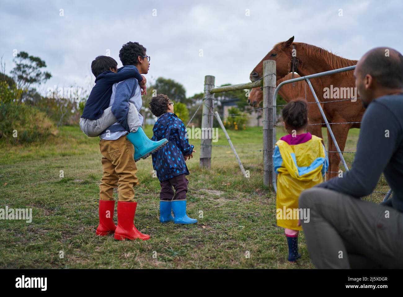 Curious kids watching horses at fence Stock Photo