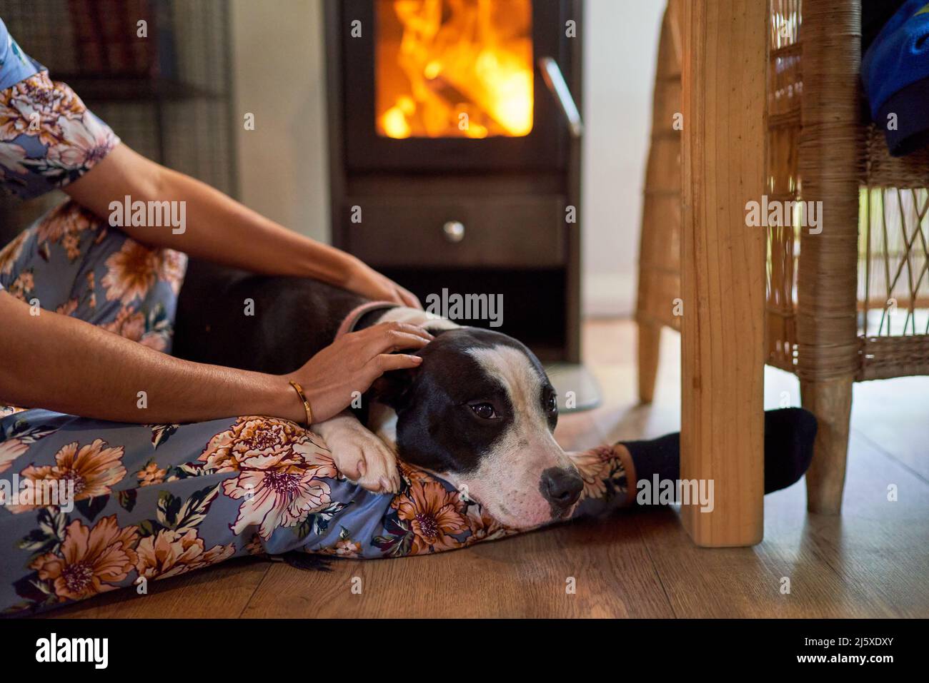 Woman petting dog on floor by fireplace Stock Photo
