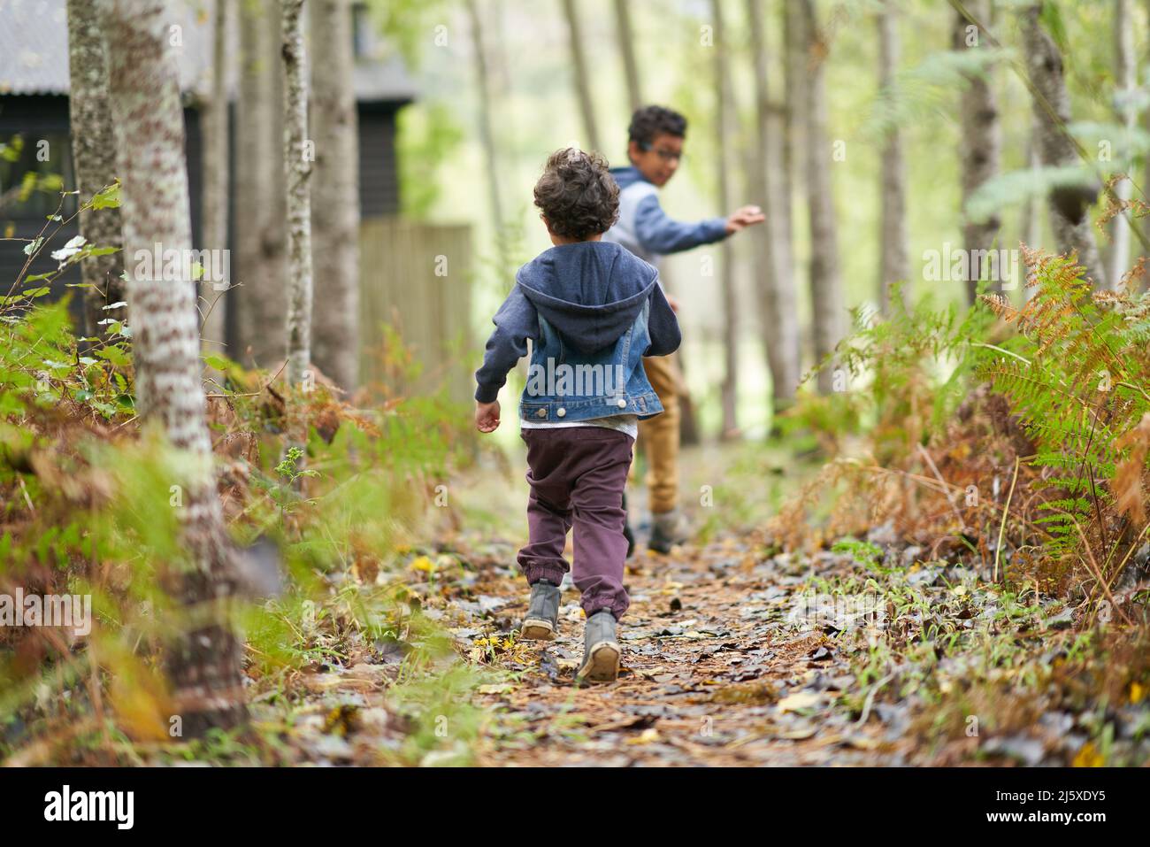 Brothers running on trail in woods Stock Photo