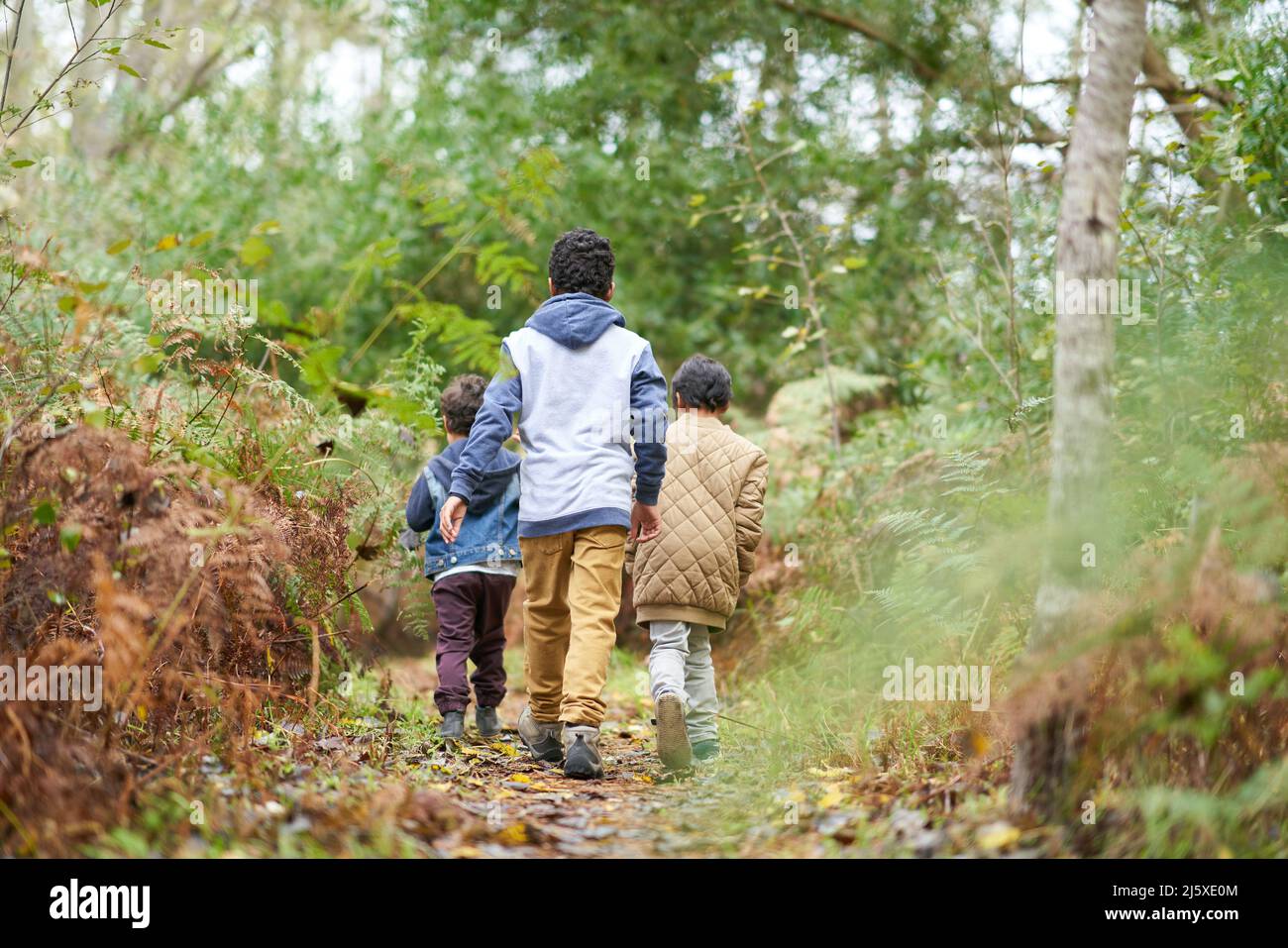 Boys walking on trail in woods Stock Photo