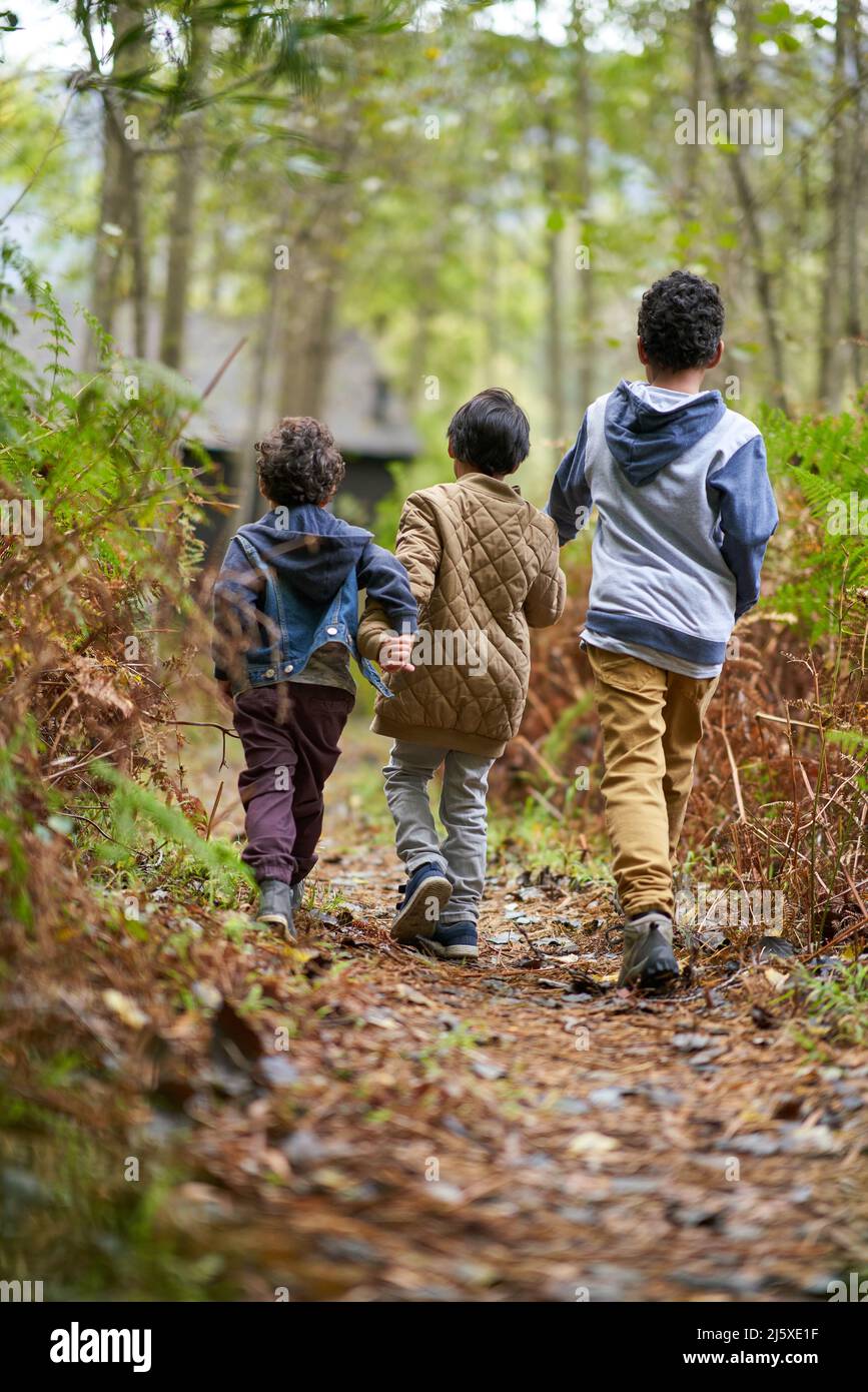 Boys walking on trail in woods Stock Photo