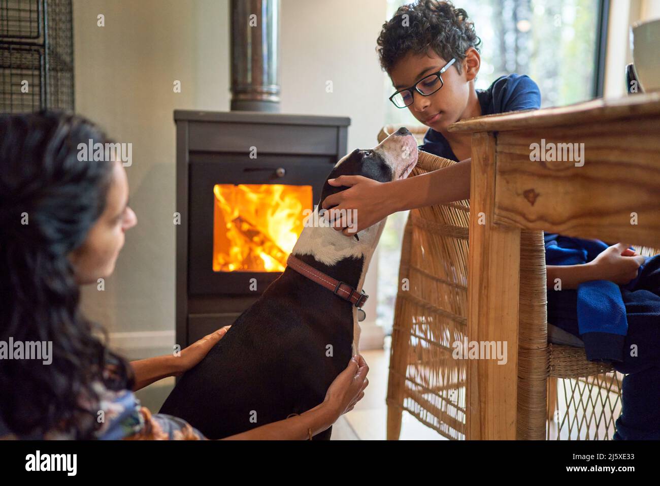 Boy petting dog by fireplace Stock Photo