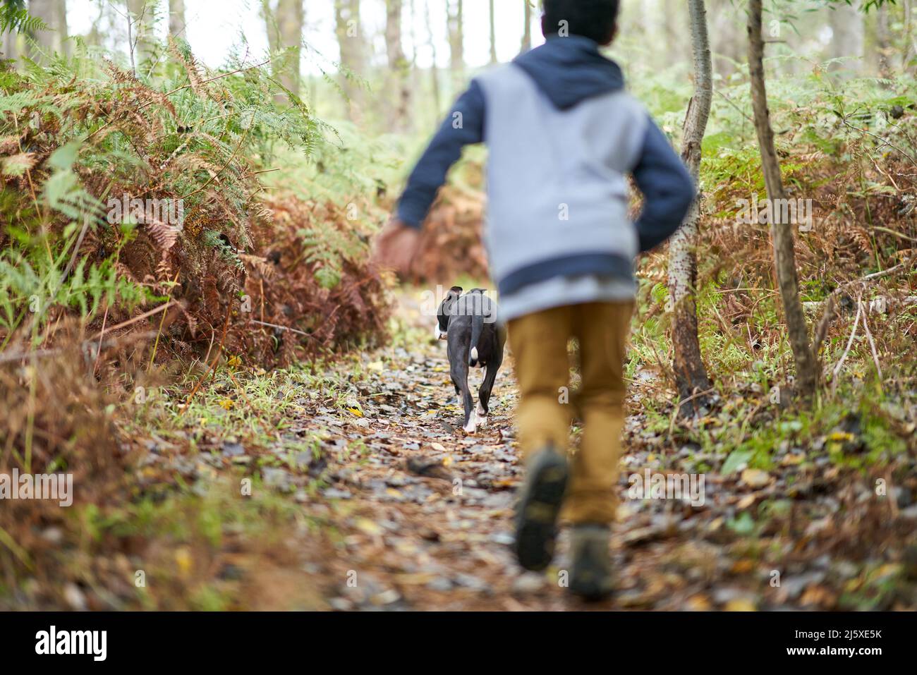 Boy chasing dog on trail in woods Stock Photo