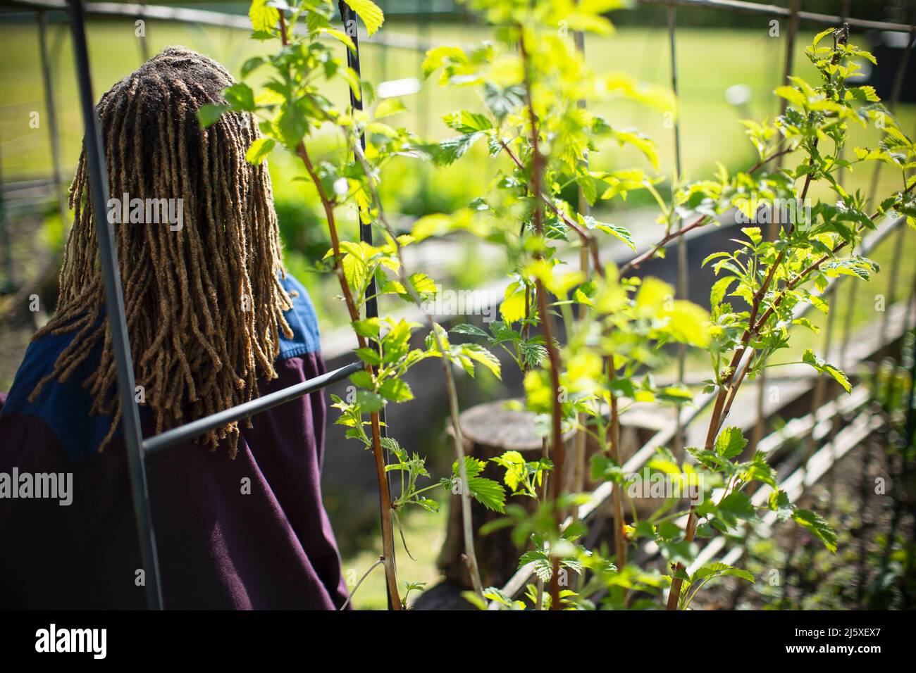 Woman in sunny garden Stock Photo