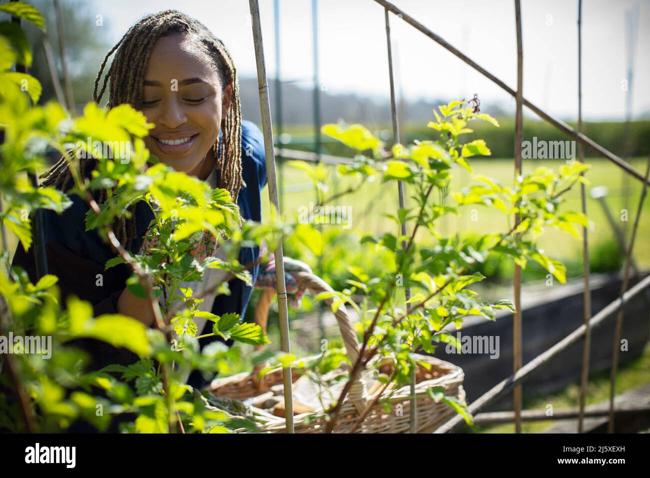 Happy young woman gardening in sunny garden Stock Photo