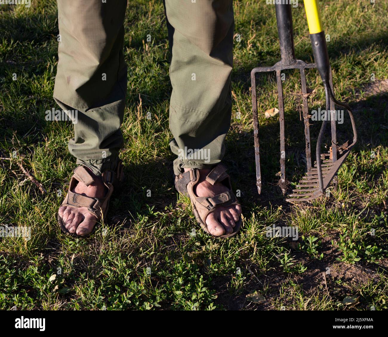 Farmer Man Rake Pitchforks rakes hi-res stock photography and images - Alamy