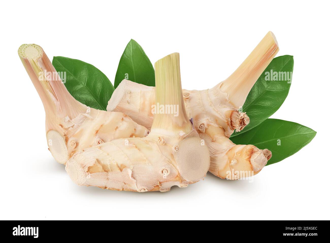 Fresh galangal root isolated on white background with clipping path and ...