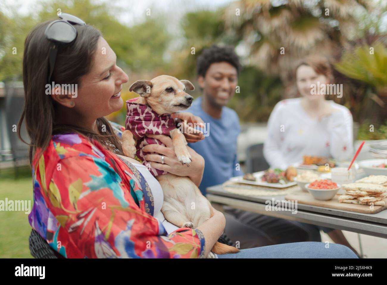 Dog at dinner table hires stock photography and images Alamy