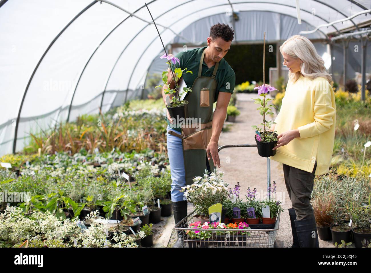 Garden shop worker helping customer with potted flowers in greenhouse Stock Photo