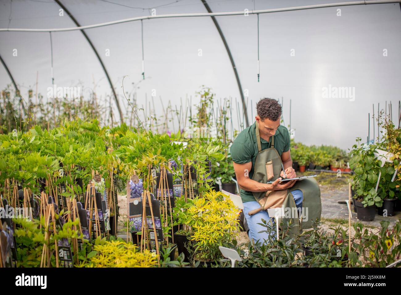 Male plant nursery owner with clipboard in greenhouse Stock Photo