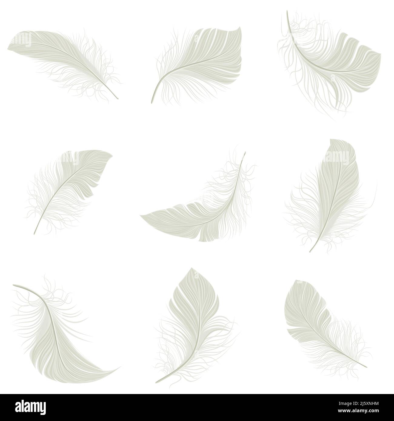 White bird wing feather decorative icons set isolated vector ...