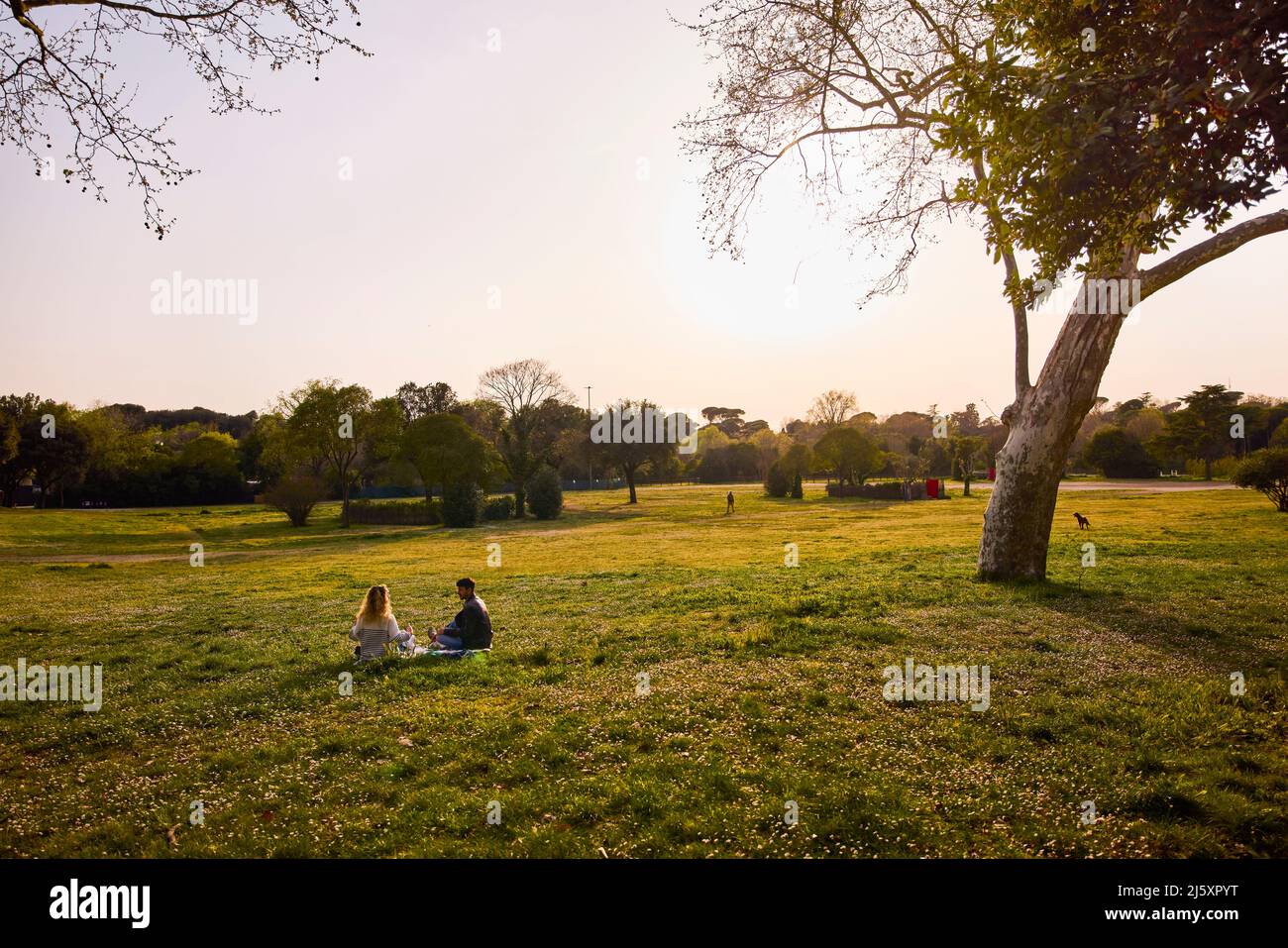 Two happy men sitting on grass hi-res stock photography and images - Alamy