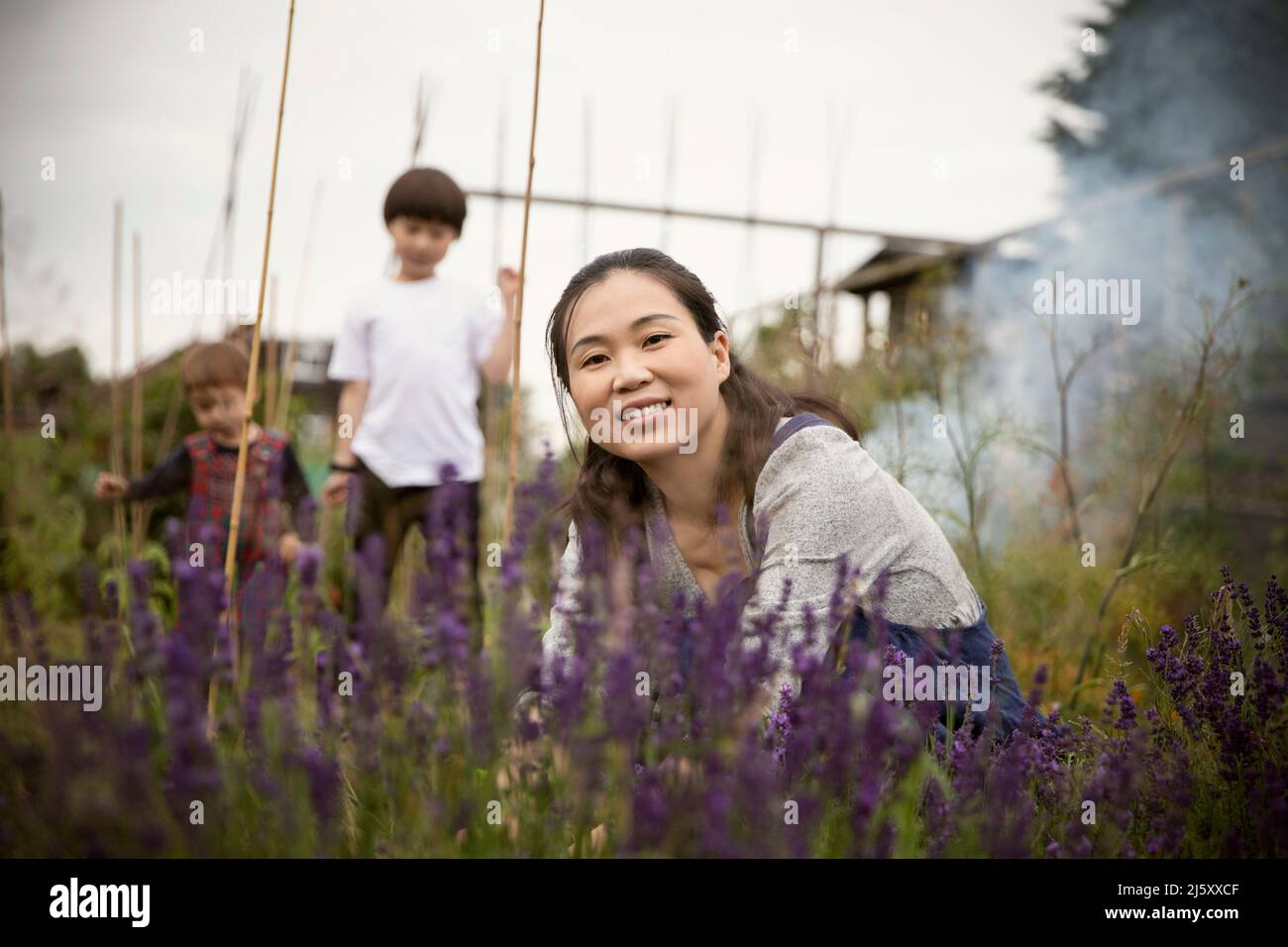 Portrait happy woman tending to lavender plant in garden Stock Photo