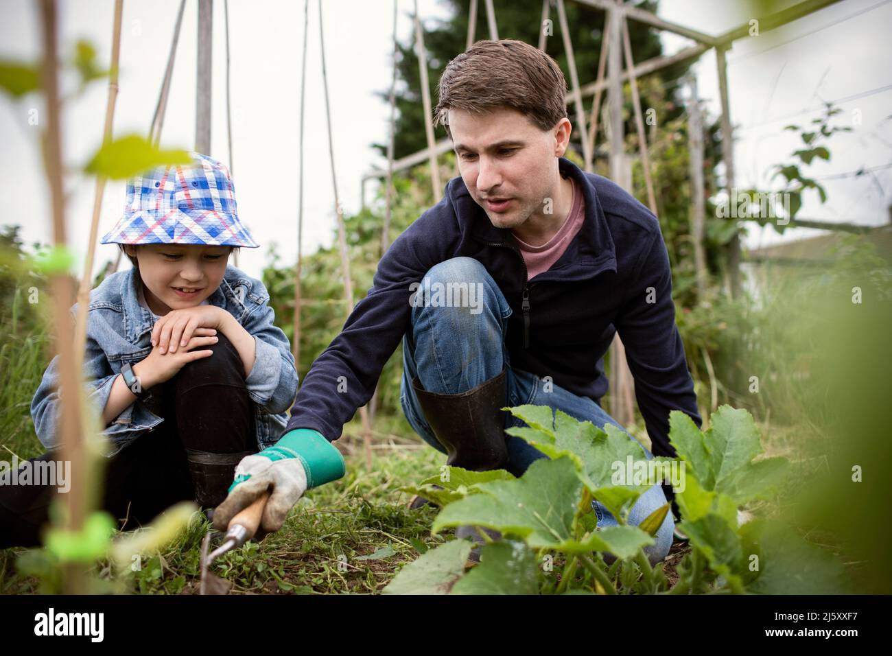 Father and son gardening in vegetable garden Stock Photo