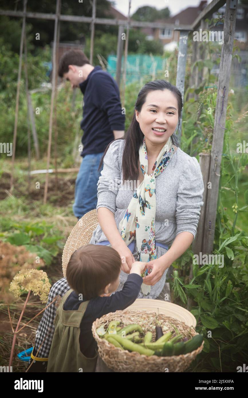 Smiling mother and son harvesting vegetables in garden Stock Photo - Alamy