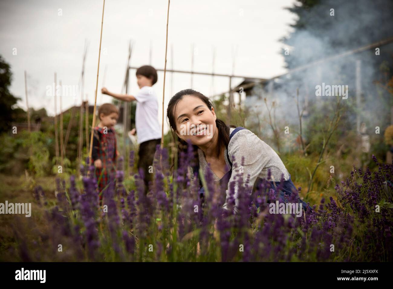 Happy woman tending to lavender plant in garden Stock Photo