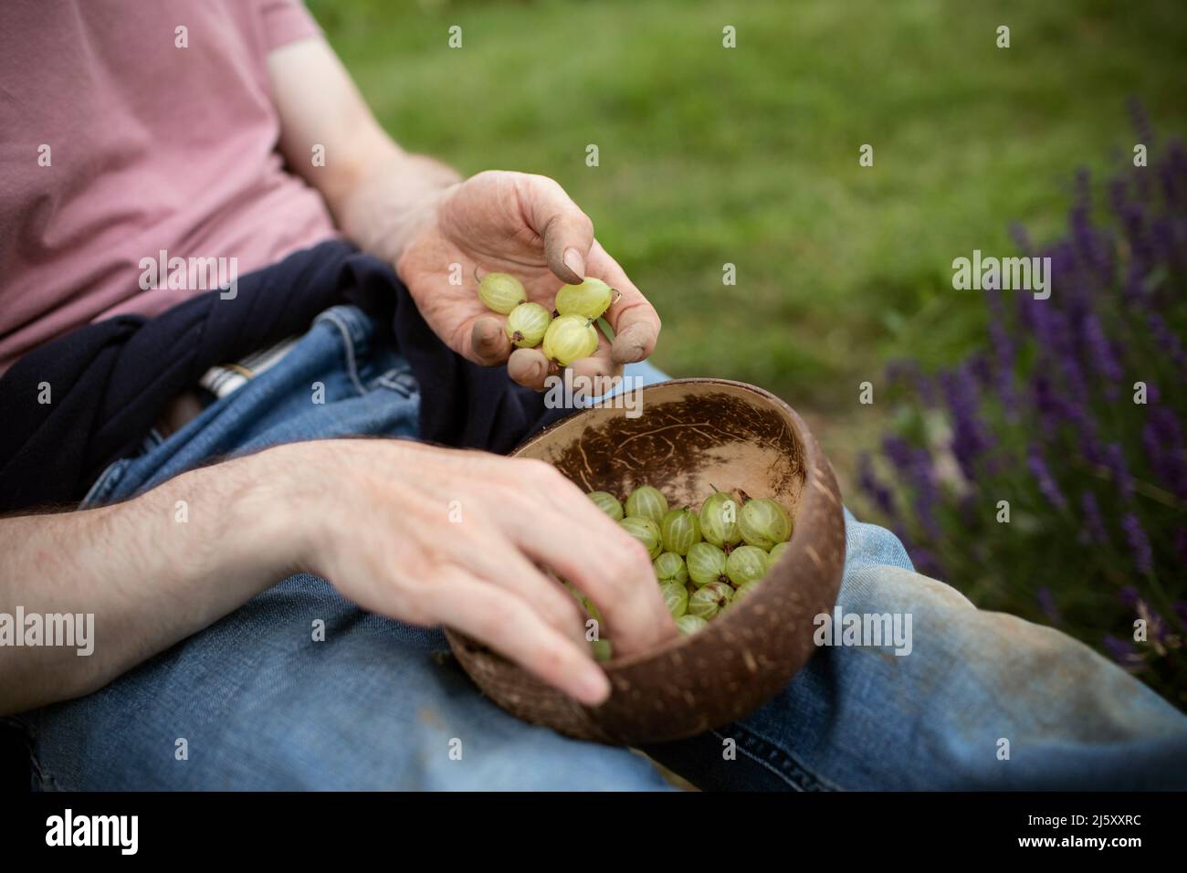 Close up man eating fresh gooseberries Stock Photo