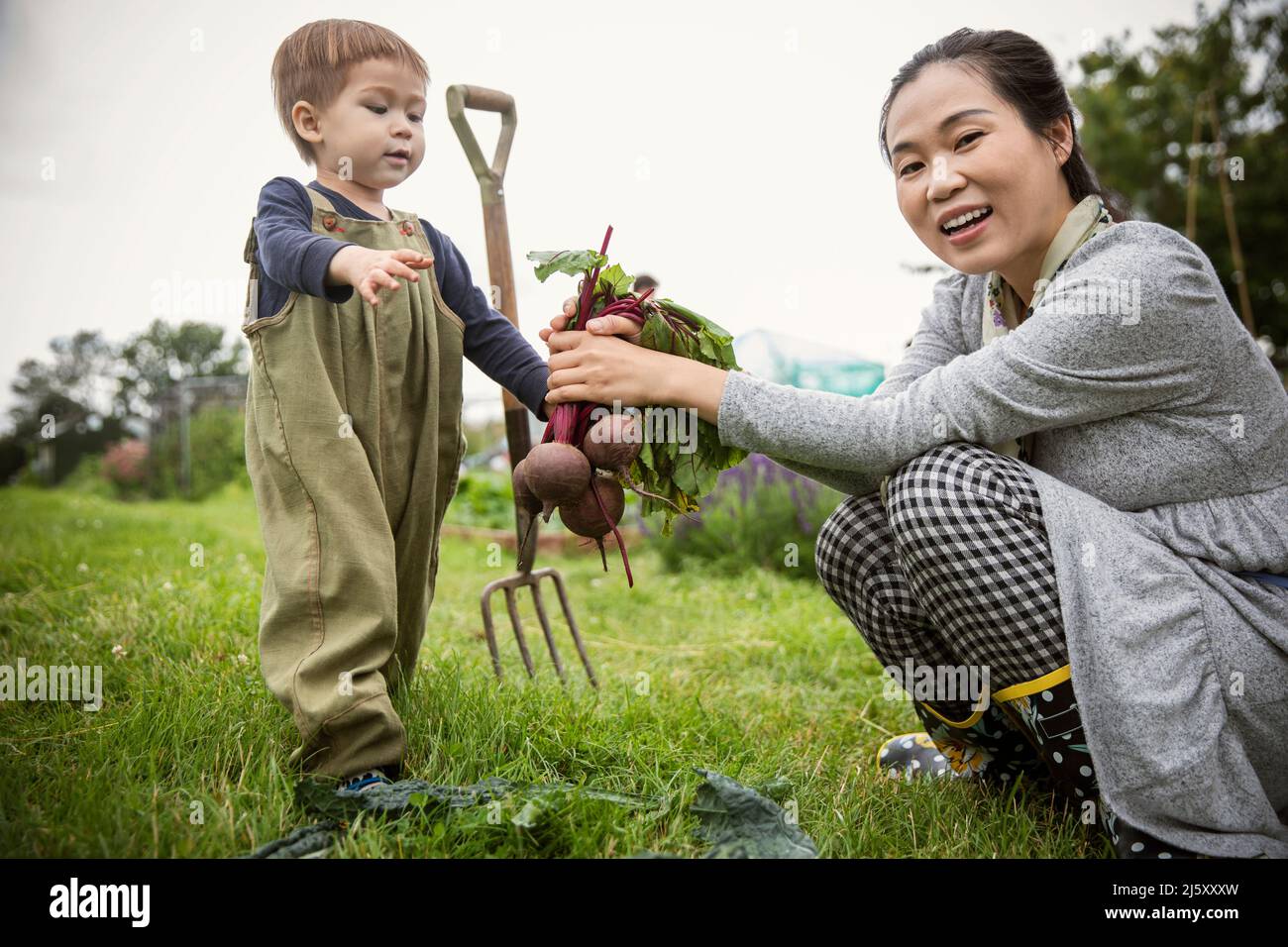 Portrait happy mother and son harvesting beets in garden Stock Photo