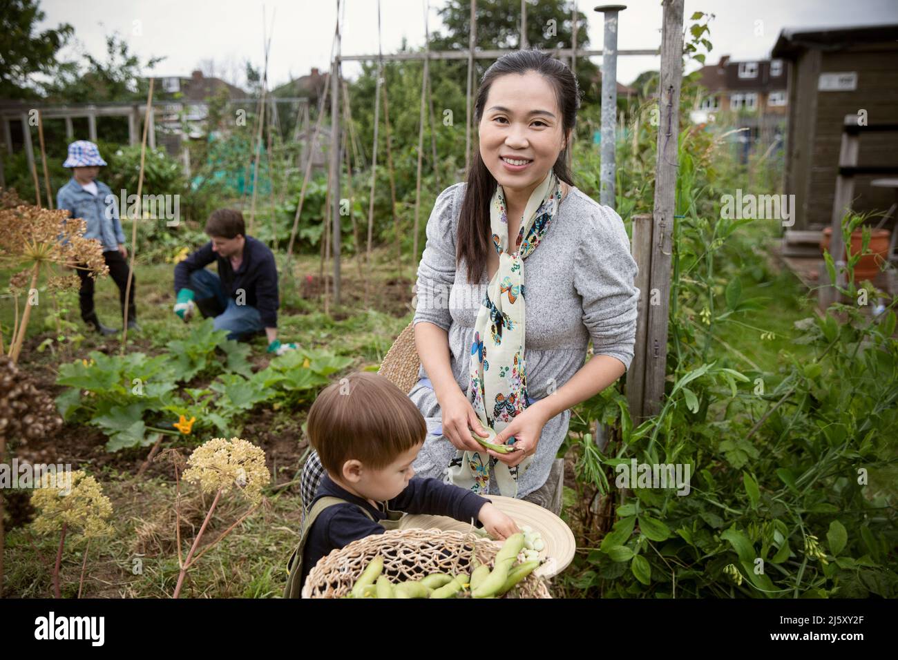 Portrait happy mother and son harvesting vegetables in garden Stock ...