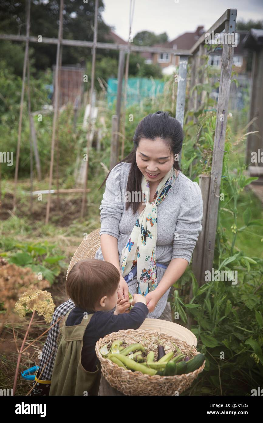 Mother and toddler son with harvested vegetables in garden Stock Photo ...