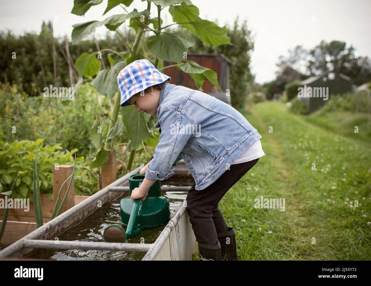 Boy filing watering can at trough in garden Stock Photo